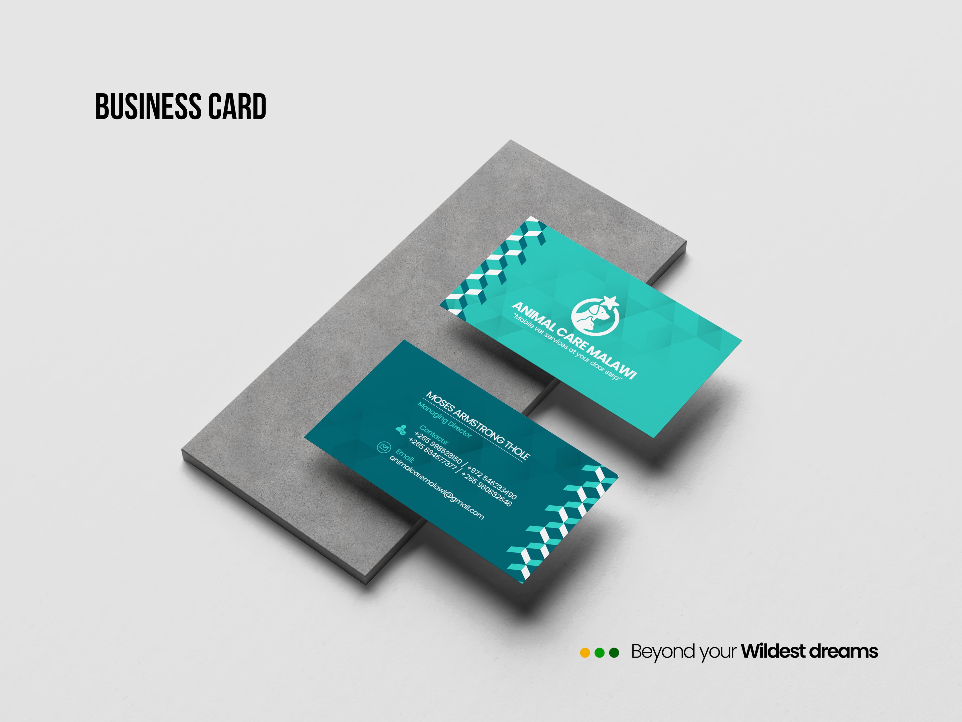 Animal Care Identity